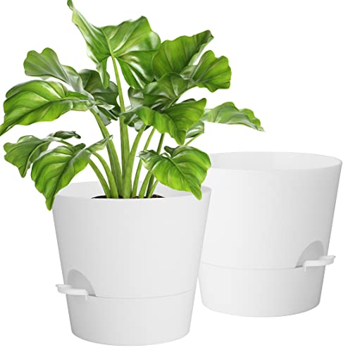 10 Inch Maceta con Plato, 2 Packs Macetas Plástico Maceteros Decorativos Interior con Agujeros de Drenaje,Riego Automático Macetas para Plantas Flores,Decoración del Hogar Balcón Jardín