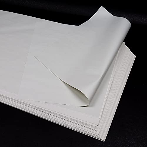 100 hojas (1,2 kg) Papel fino blanco 100% reciclado, 40x60 cm, para envolver regalos, proteger, mudanzas, manualidades, embalaje, relleno, (similar al papel de periódico), 40 g/m² 100 hojas (1,2 kg) Papel fino blanco 100% reciclado, 40x60 cm, para envolver regalos, proteger, mudanzas, manualidades, embalaje, relleno, (similar al papel de periódico), 40 g/m²