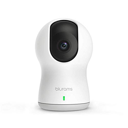 Blurams Dome Pro 1080p FHD Cámara de Vigilancia en Domo para el Hogar-WiFi Mic.Alt Detección Inteligente Personas/Animales/Sonidos Alertas Tiempo Real Visión Panorámica - Modo Crucero (iOS Android)