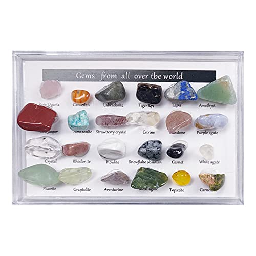 FITYLE Colección de Rocas y minerales de 24 Piezas con Caja de coleccionista / Vitrina, Hoja de identificación, Kit de Cristales de Piedras Preciosas para