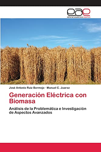 Generación Eléctrica con Biomasa: Análisis de la Problemática e Investigación de Aspectos Avanzados