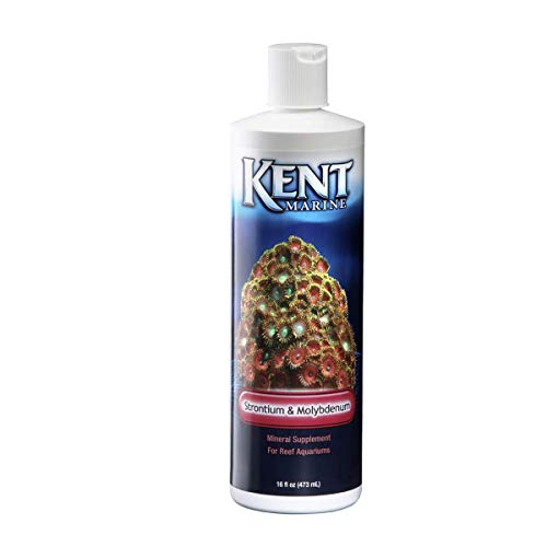 Kent Marine Suplemento Mineral de Estroncio y Molibdeno para Acuarios de Arrecife 473 ml