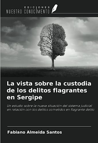 La vista sobre la custodia de los delitos flagrantes en Sergipe: Un estudio sobre la nueva situación del sistema judicial en relación con los delitos cometidos en flagrante delito