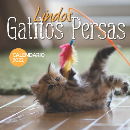 Lindos Gatitos Persas Calendario 2022: Calendario 12 meses 2022 - 8.5 x 8.5 in cuando está cerrado y 8.5 x 17.0 in abierto.- Organización y ... Perfecto como regalos, suministros de oficina