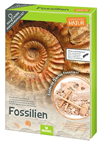 moses. Expedition Natur - Kit de excavación para fósiles (5 fósiles Reales, Incluye Herramienta de excavación, Lupa y Bolsa de Almacenamiento)