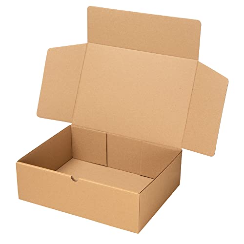 packer PRO Pack 25 Cajas Carton Envios Automontables para Ecommerce y Regalo Kraft, Mediana 33x25x10cm