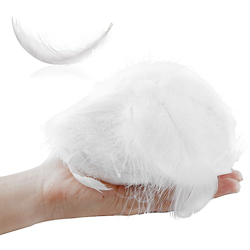 Pinsheng 300 Piezas Plumas Blancas Naturales, Plumas de Ganso Decoracion Artesanía Natural Plumas de Ganso para Bricolaje Atrapasueños Decoración Ceremonia Boda Disfraces de Halloween Alas de Angel