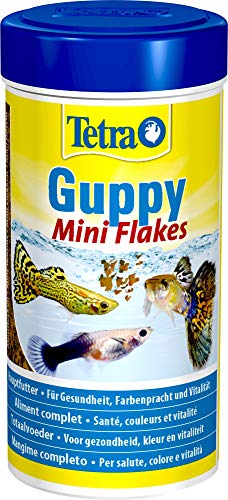 Tetra Guppy Mini Flakes - comida equilibrada y rica en nutrientes para guppys, lata 250 ml Tetra Guppy Mini Flakes - comida equilibrada y rica en nutrientes para guppys, lata 250 ml