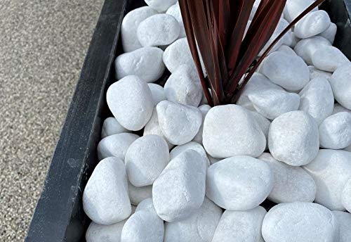 TODOSTONES Piedra para Jardin Canto Rodado Saco Blanco Especial (99%) (5 Kg, Tamaño: 20-40mm)