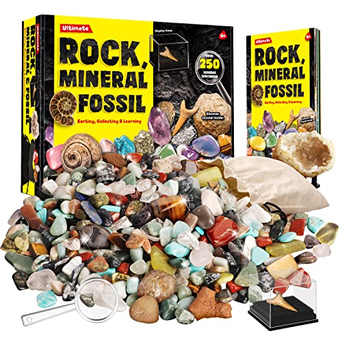 XXTOYS - Kit de Piedras y Minerales Coleccionables - 250 Geodos y Fósiles Naturales - Se Entrega con Escaparate y Estuche - 6 7 8 9 10 Años